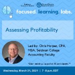 Focused Learning Lab: Assessing Profitability on March 31, 2021